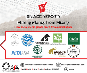 SMACC Report: Making Money from Misery; SMACC