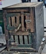 Barbary macaque in wooden cage on street in Morocco; East Lothian Uncaged