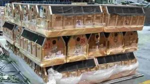 Long-tailed macaques in airline transport crates