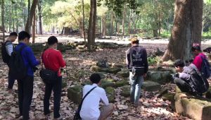 Macaques relentlessly pursued by video operators filming for social media content, Angkor Wat, Cambodia; Lady Freethinker/Action for Primates