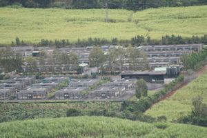 Mauritius long-tailed macaques farm; Cruelty Free International